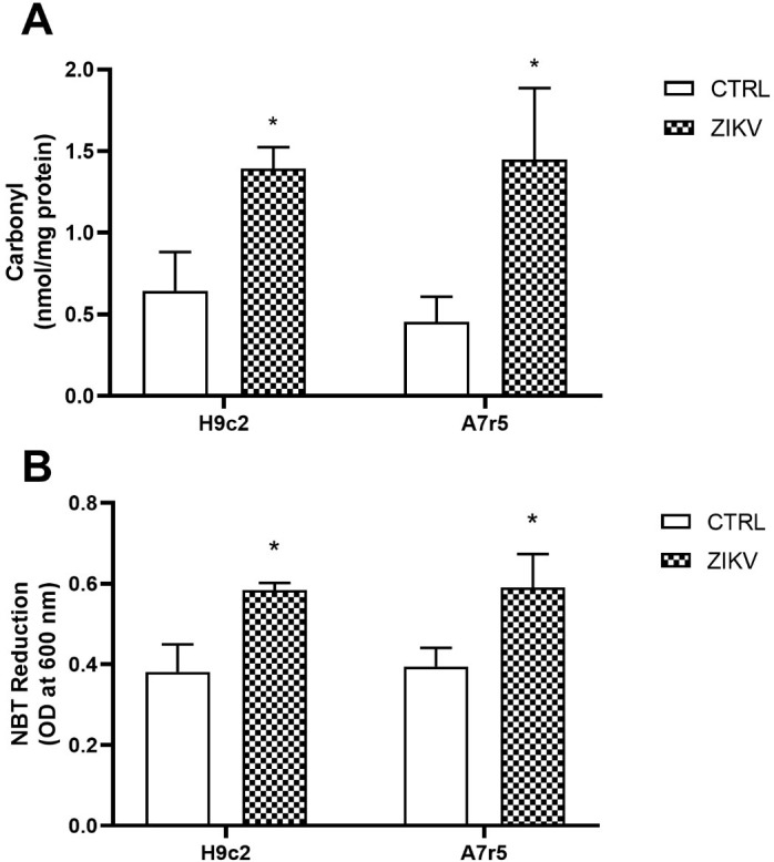 Fig 4