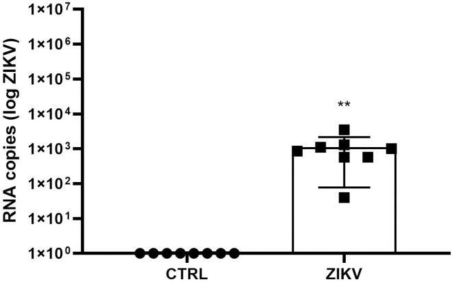 Fig 5
