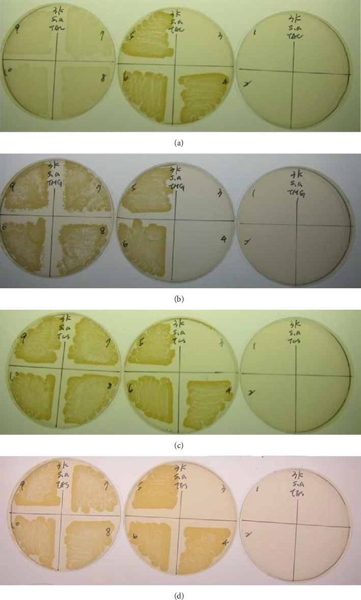 Figure 6