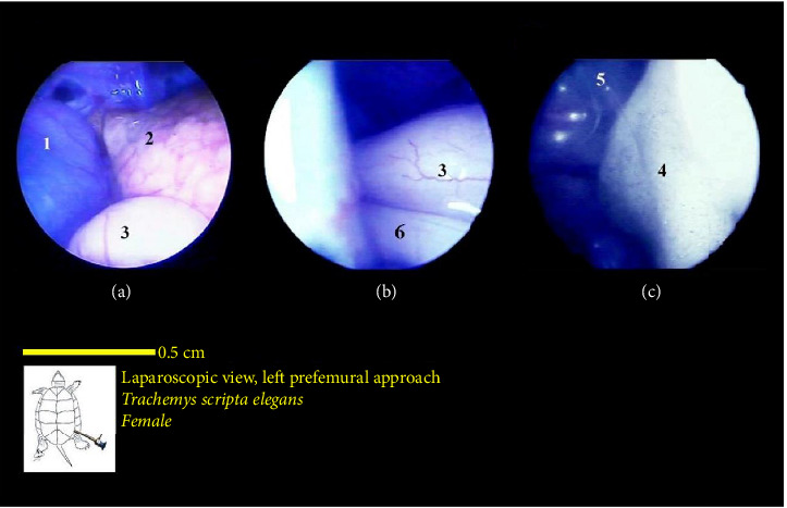 Figure 16