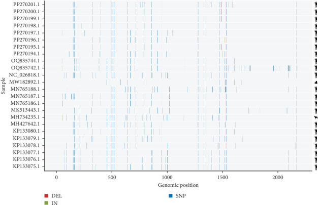 Figure 4