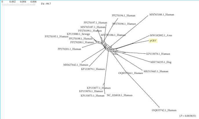 Figure 6