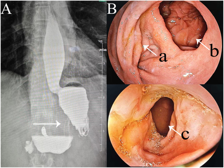 Figure 4