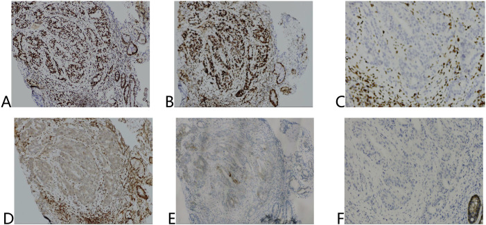 Figure 2