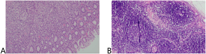 Figure 5