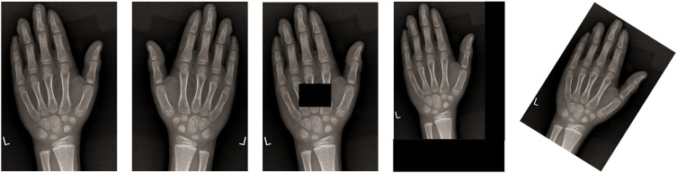 Figure 3