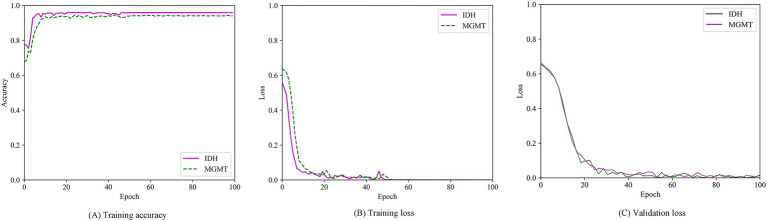 Figure 7