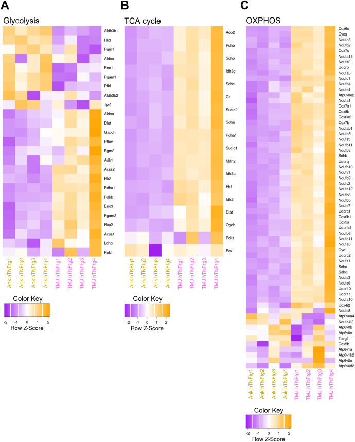 Figure 6