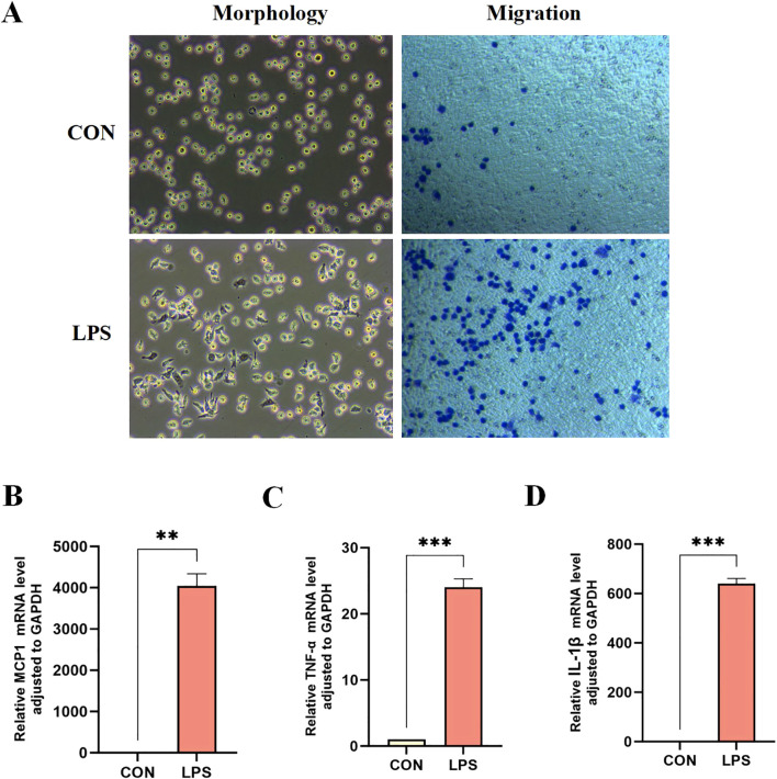 Figure 6
