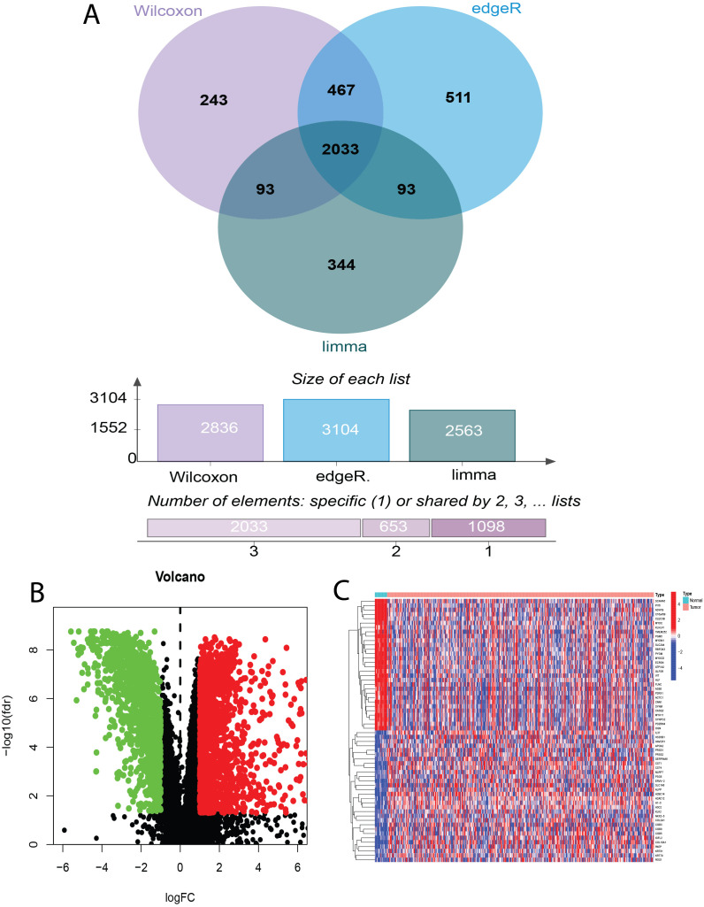 Figure 2