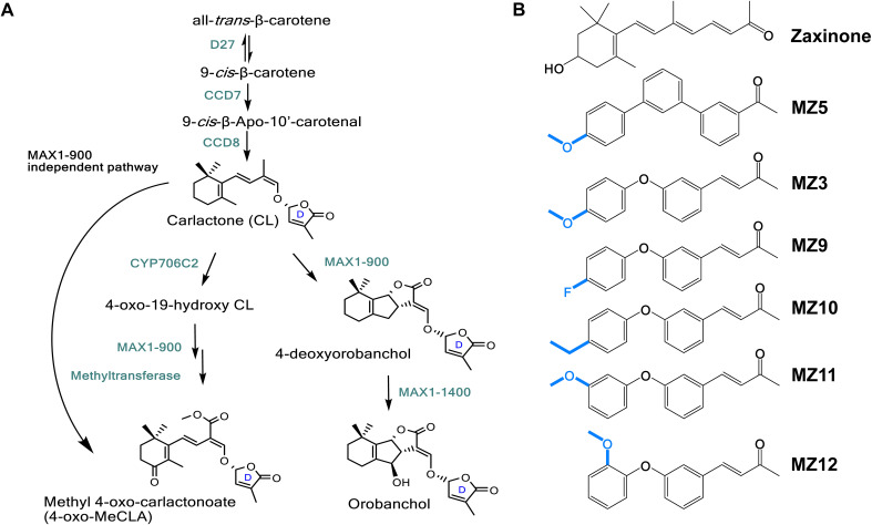 Figure 1