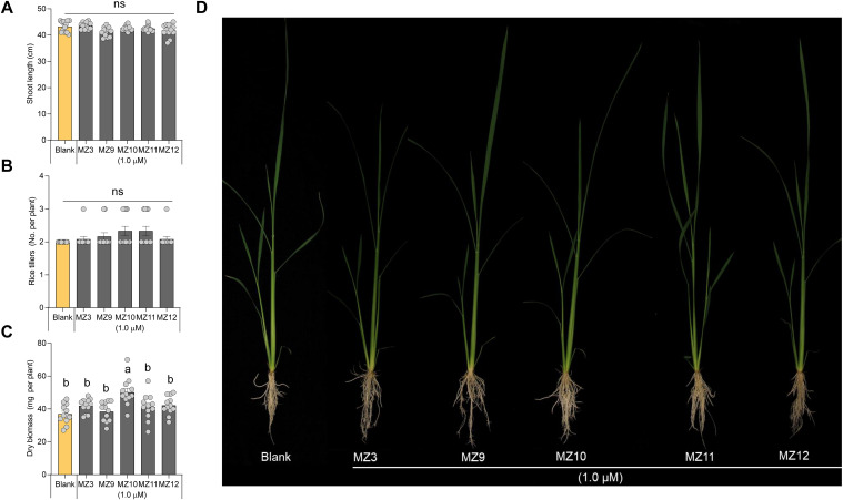 Figure 3