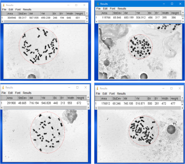 FIGURE 3