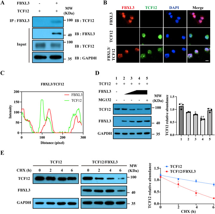 Figure 6