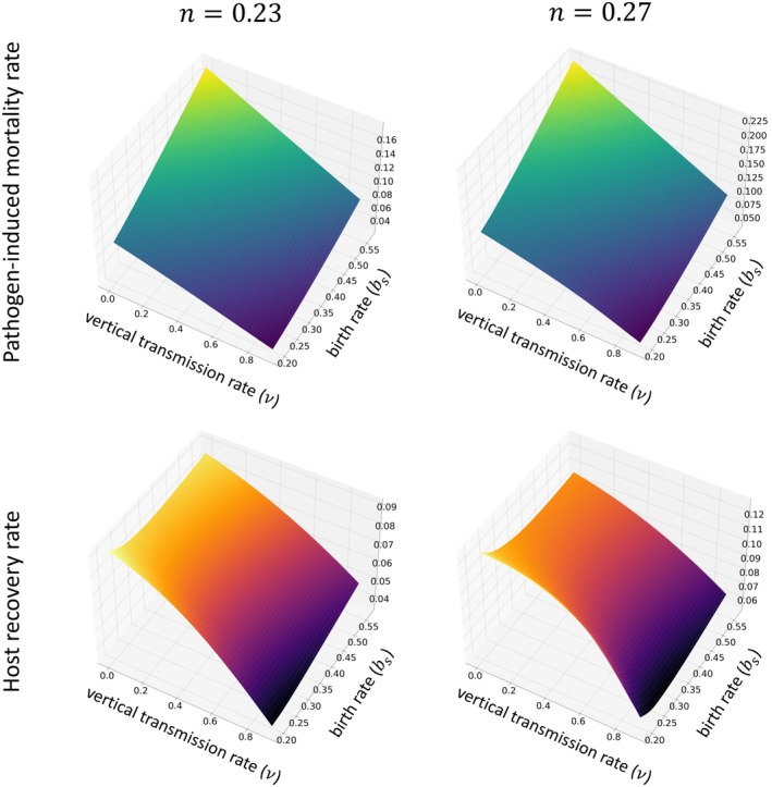 FIGURE 3