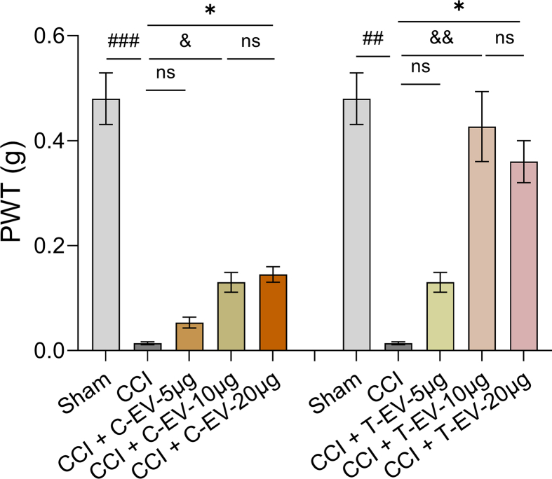 Figure 22