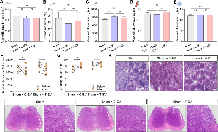 Figure 23