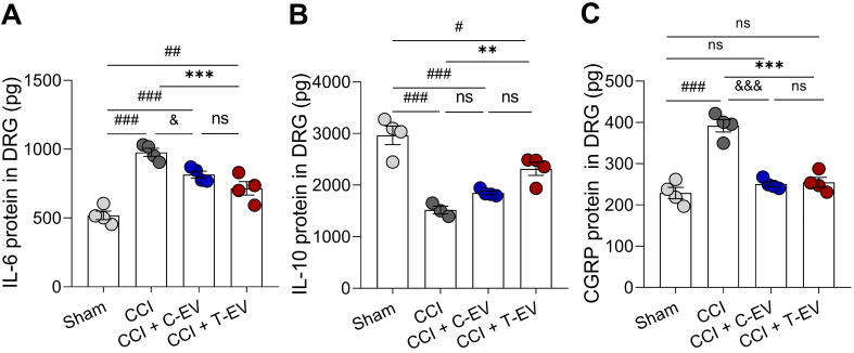 Figure 24