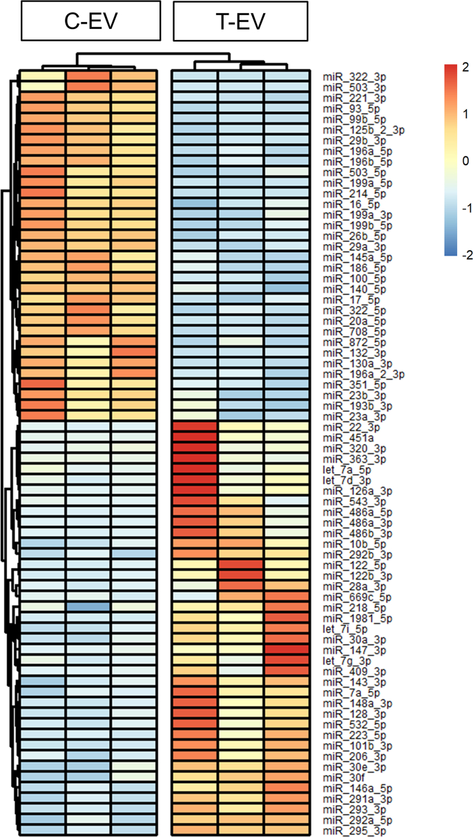 Figure 26