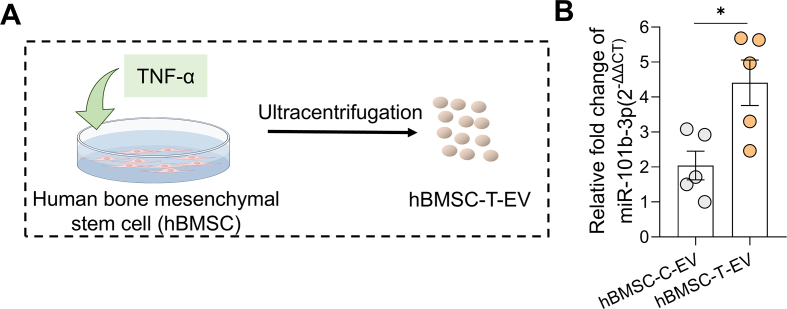 Figure 27