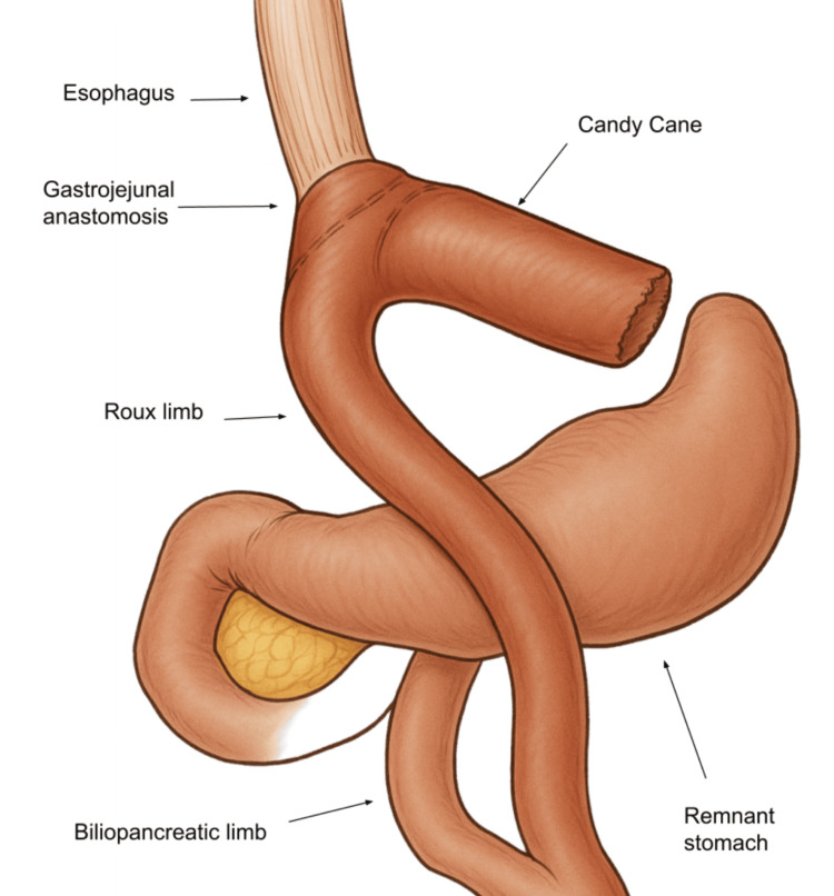 Figure 7