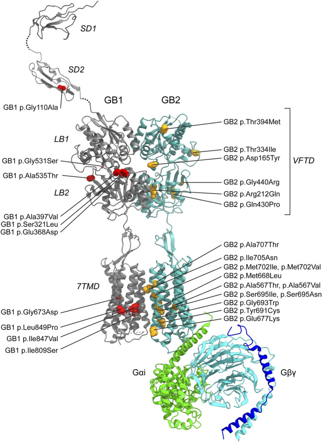 FIGURE 3