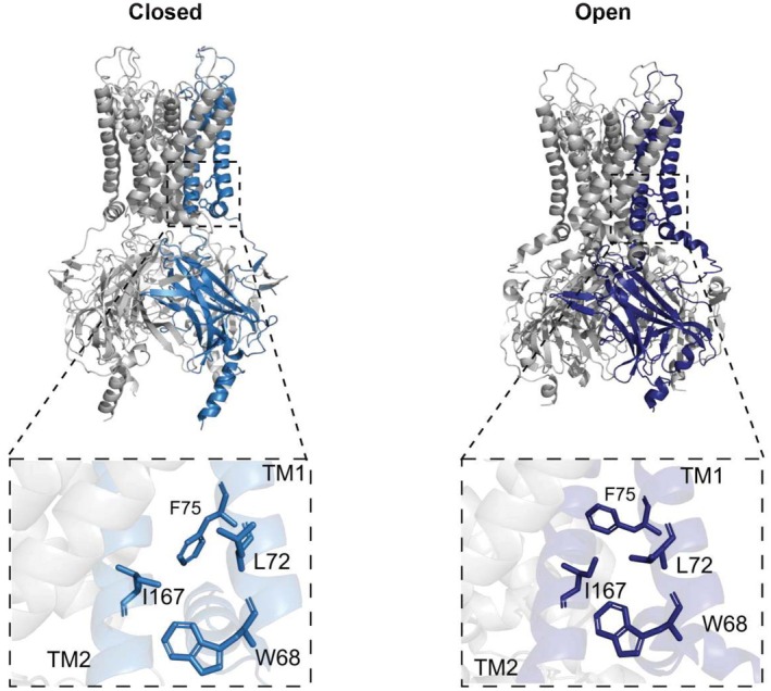 FIGURE 3