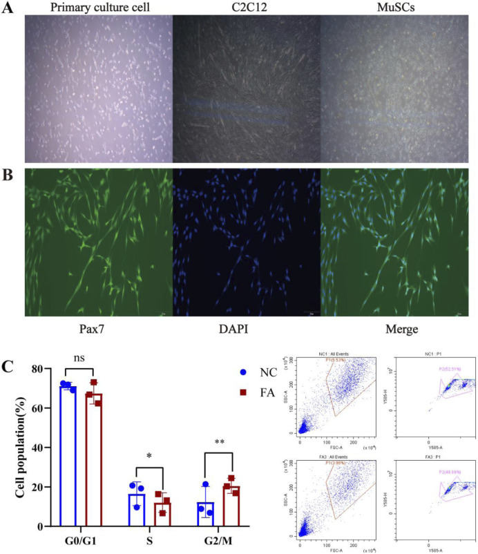 FIGURE 2