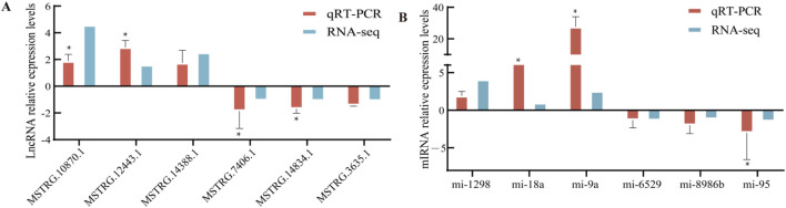 FIGURE 6