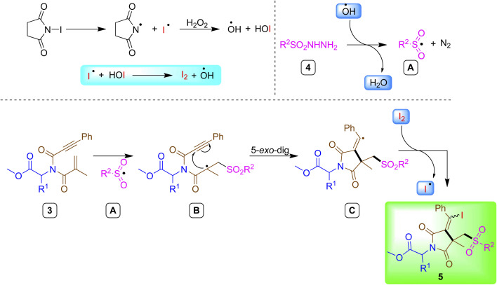 Scheme 3