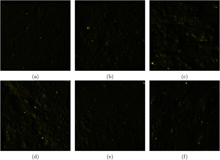 Figure 12
