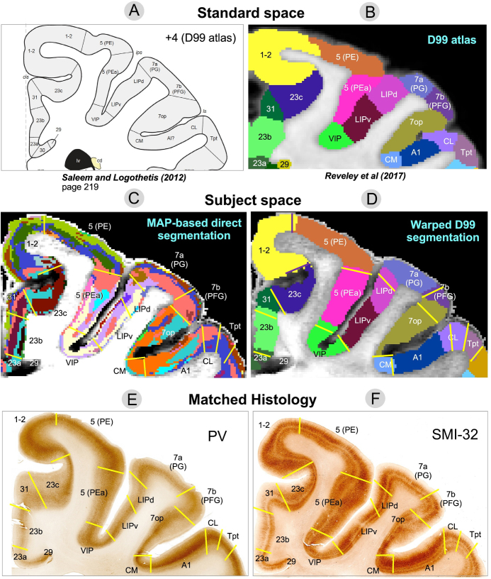 Fig. 8