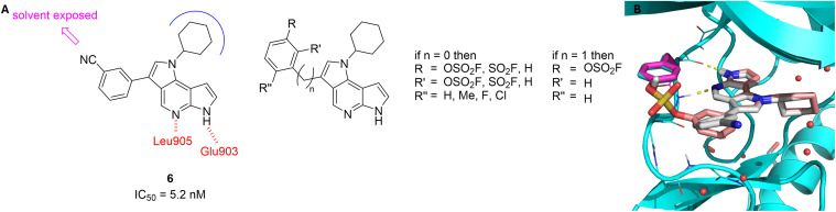 Fig. 2