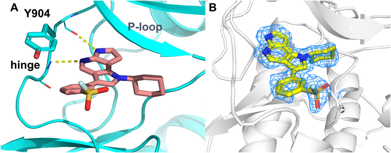 Fig. 3