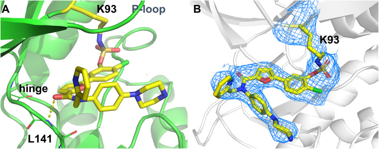 Fig. 8