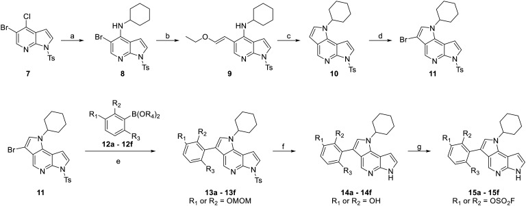 Scheme 1