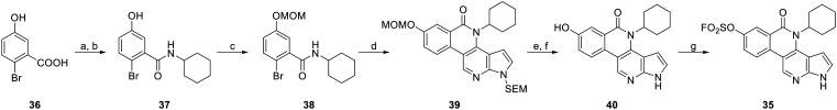 Scheme 4