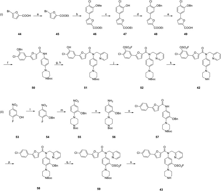 Scheme 5