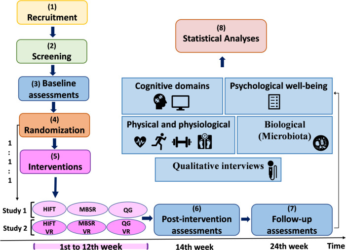 Fig 3