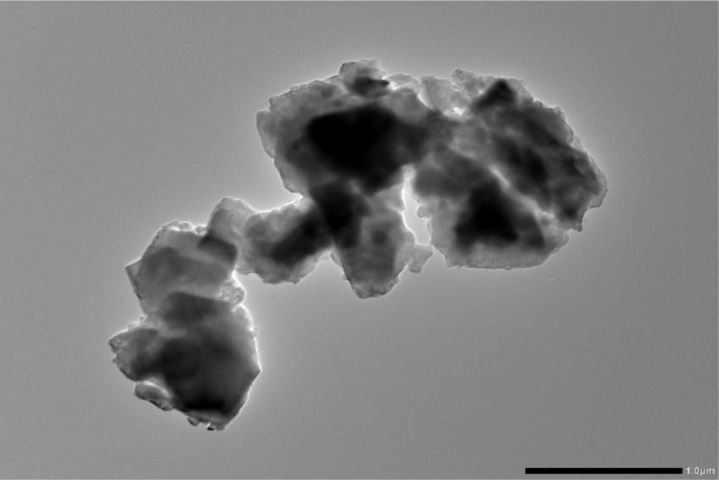 Fig 6