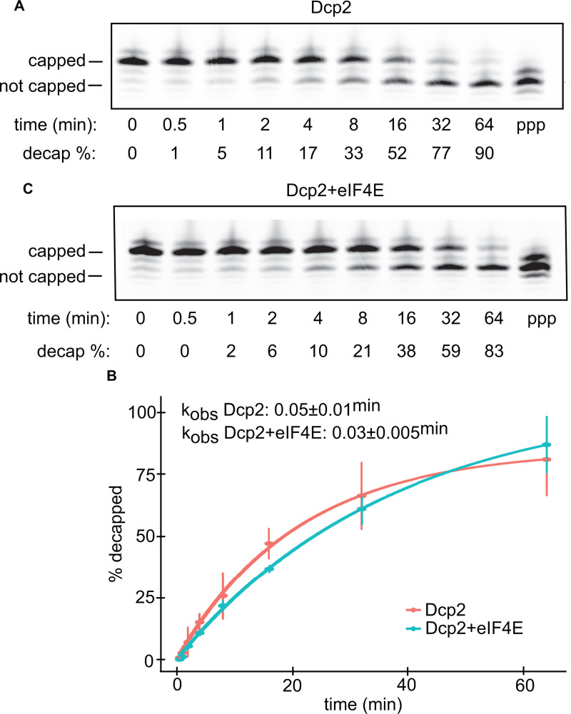 Fig 5