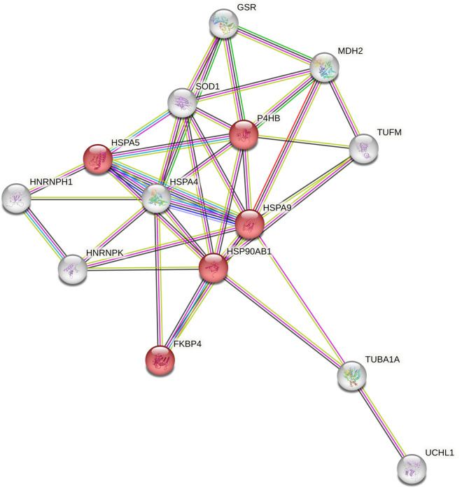 Fig 2