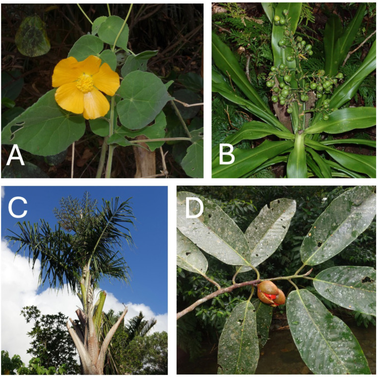 Fig 9