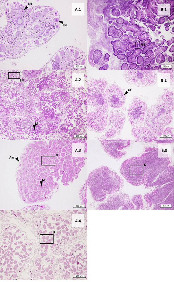 Fig 7