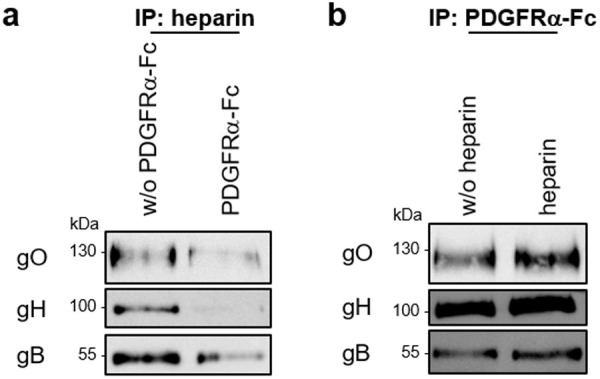 Fig 5