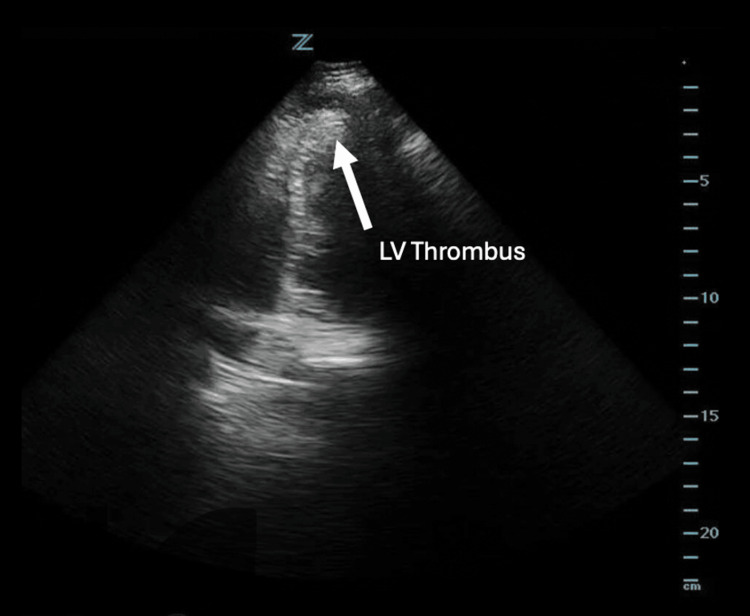 Figure 7