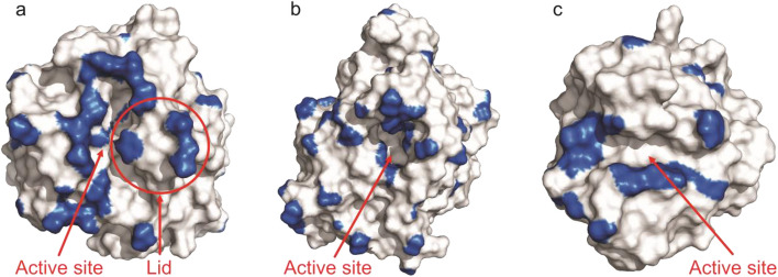 Figure 6