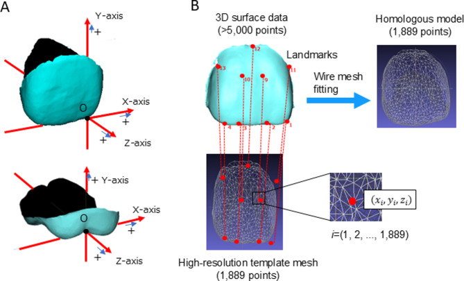 Figure 2