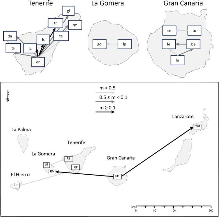 FIGURE 6