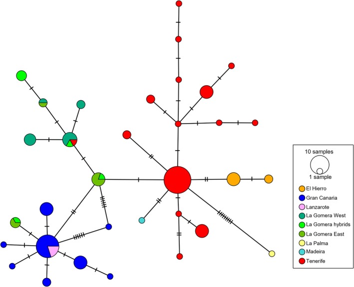 FIGURE 2